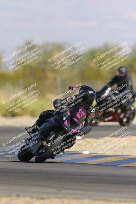 media/Nov-11-2023-SoCal Trackdays (Sat) [[efd63766ff]]/Turn 2 Set 2 (1145am)/